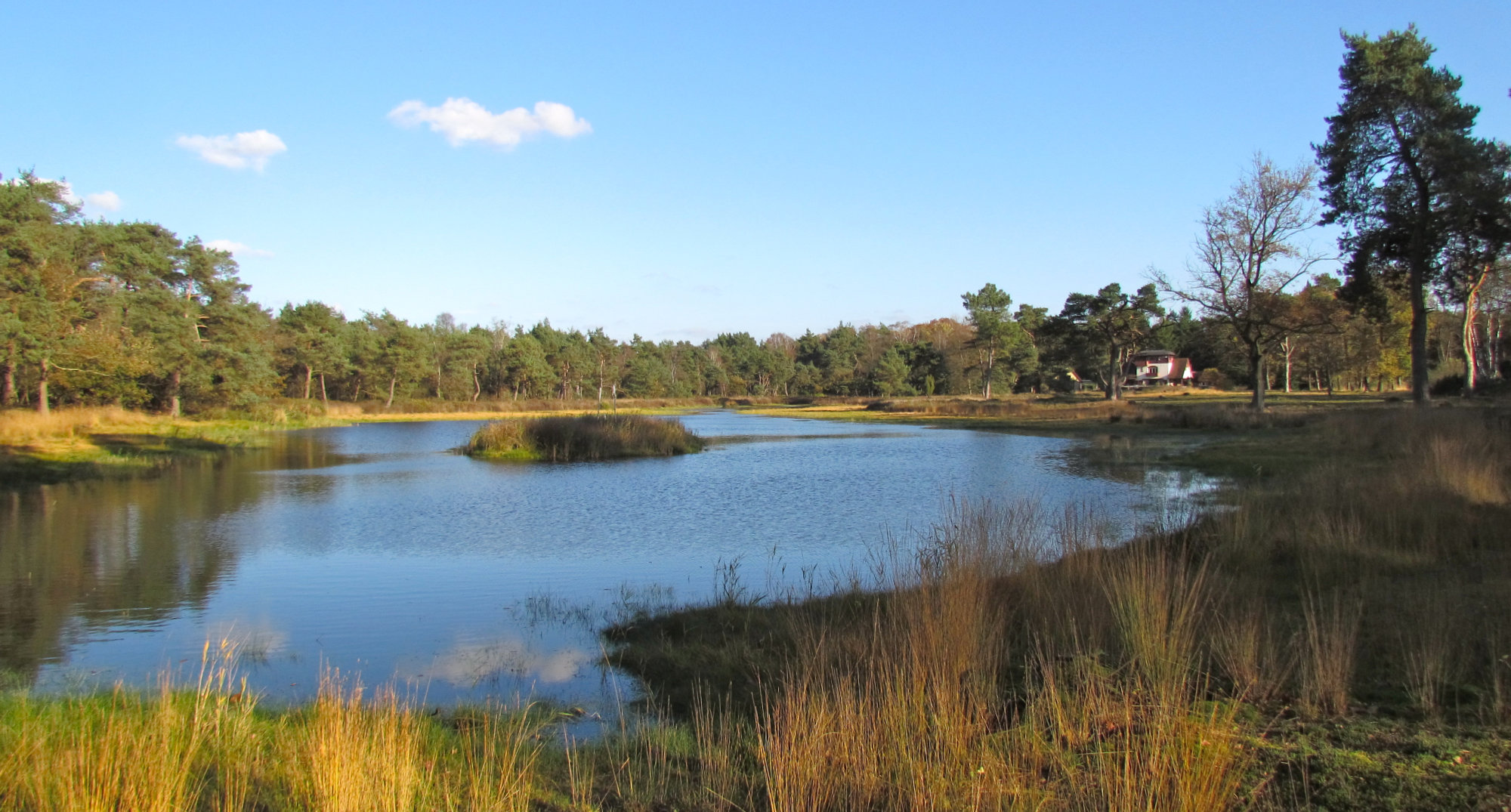 Het Kluenven achter de buitenplaats Het Kluenven achter de buitenplaats